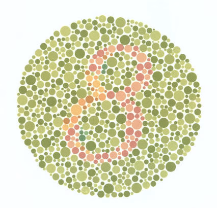 vision2