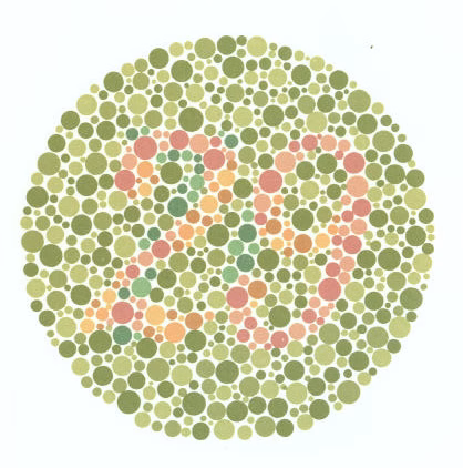vision4